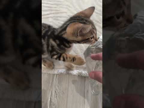 Совет, который пригодится в каждом доме! #лайфхаки #nobleлайфхак #советы