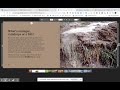 Erosion and Water's Impact on Landscapes