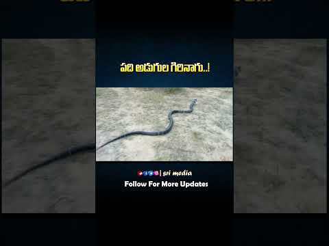 #srimedia #viralvideo #ytshors #telugushorts #news #trending #india #telangana #media #facts