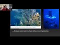Marine Ecosystems and Energy Sources