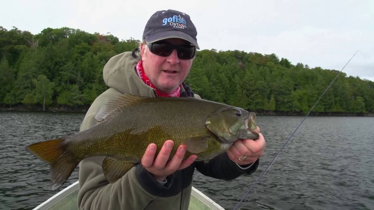 AMAZING Giant Smallmouth Bass on a Fly - Birch Lake Resort (Part 2) - The New Fly Fisher