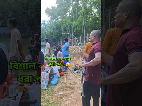 ১৫ কেজি ওজনের দানব ধরা পরল 😱 #shorts #viral #fish #fishing