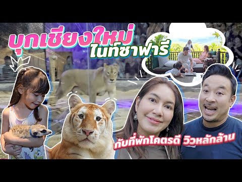 บุกเชียงใหม่ไนท์ซาฟารีเจอที่พักอย่างดีวิวหลักล้าน