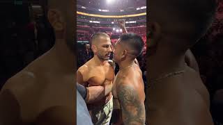 Joshua Van vs. Alexandre Pantoja 2: UFC 331 Face-off