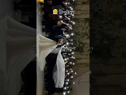 웨딩 다이어트 d-day