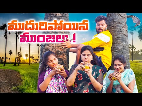 ముదురిపోయిన ముంజలు || MUDHRIPOYINA MUNJALU || #comedy #villagepatas #funny