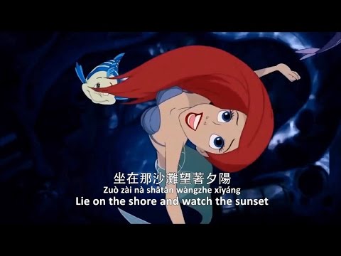 The Little Mermaid - Part of Your World | Mandarin Subs&Trans