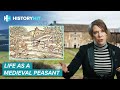 Medieval Agriculture and Peasant Life