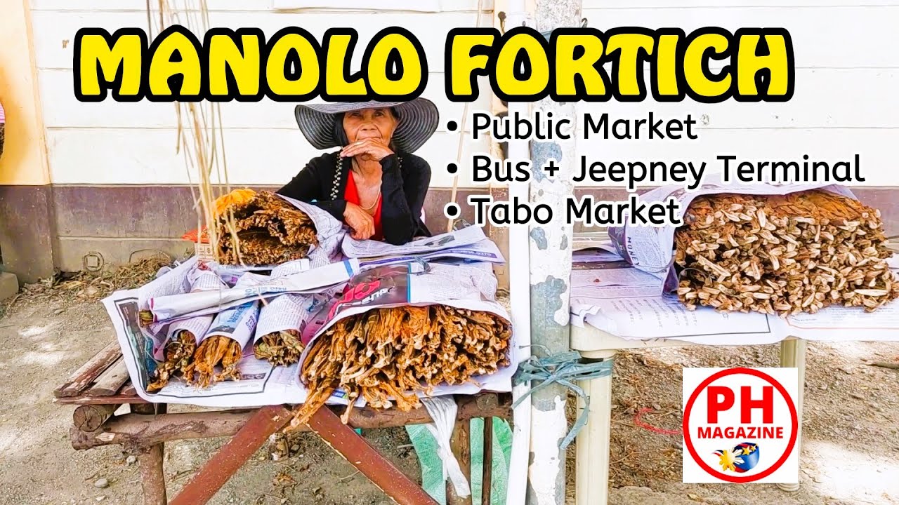 MANOLO FORTICH | MARKETS + TERMINAL