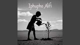 Iphupho Alifi