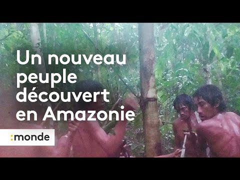 Découverte d'un nouveau peuple en Amazonie