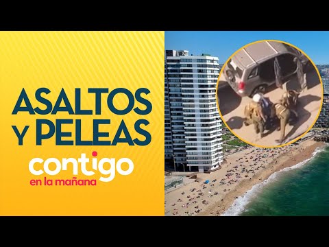 ASALTOS Y ATAQUES en Viña del Mar a tan solo días del Festival - Contigo en la Mañana