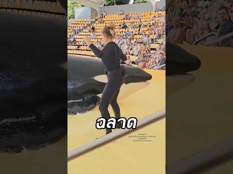 หญิงสาวกับเพื่อนแสนอันตราย #shorts