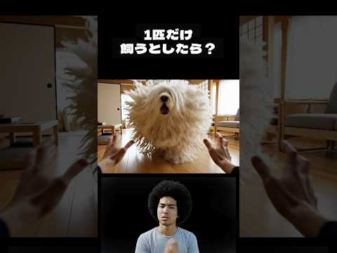 1匹だけ飼うとしたら?