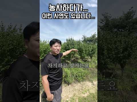 농사 하다보니 별의 별 일이 다 있네요...