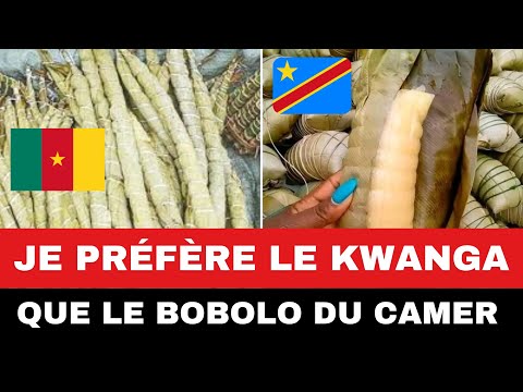 Kouanga vs Bâton de Manioc : Qui l'emporte entre la RDC-le Congo et le Cameroun ?