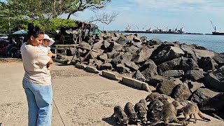 ¡¡ Paseo con mi Hija !!// Primera vez en la PLAYA