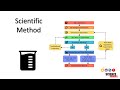 Exploring the Steps of the Scientific Method
