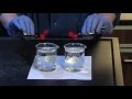 Exploring Diffusion and Osmosis in Cell Biology