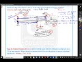 Forces and Torque in Equilibrium