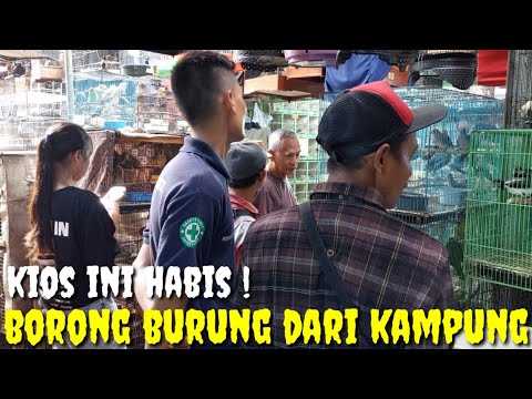 JANGAN KAGET KL MAMPIR KE KIOS INI ! KIOS KONTROVERSI VERSI PB PRAMUKA