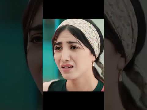 ٢٣ نوفمبر ٢٠٢٤