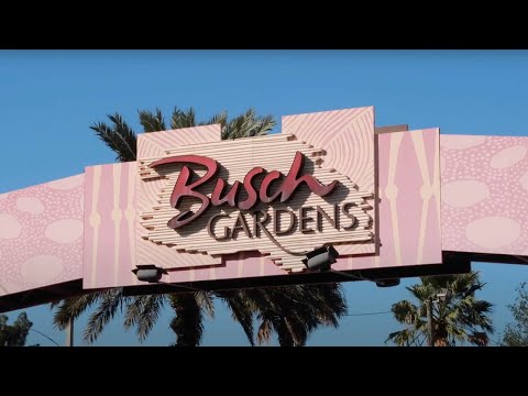 Experiencing Howl-O-Scream at Busch Gardens Tampa...