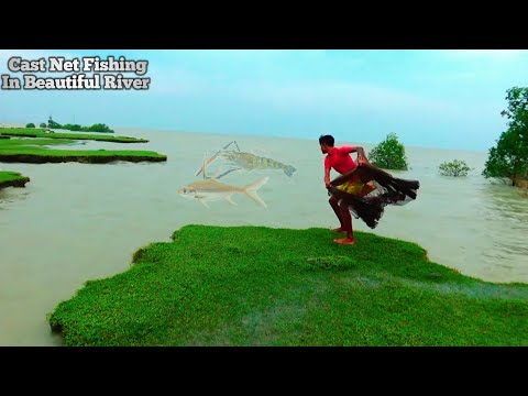 Cast net fishing in river - Natural fishing video in river - Amazon river fishing
