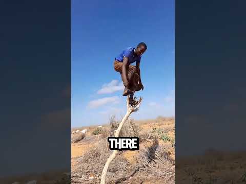 Do not check the sound ๐ #shorts