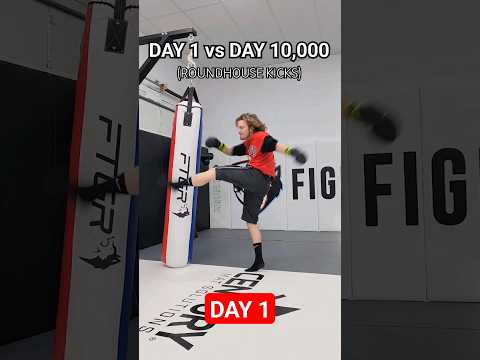 10,000 days of practicing roundhouse kicks