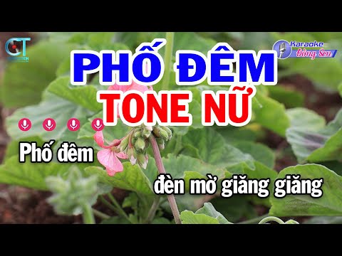 Karaoke Phố Đêm Tone Nữ ( Em ) Nhạc Sống Đồng Sen