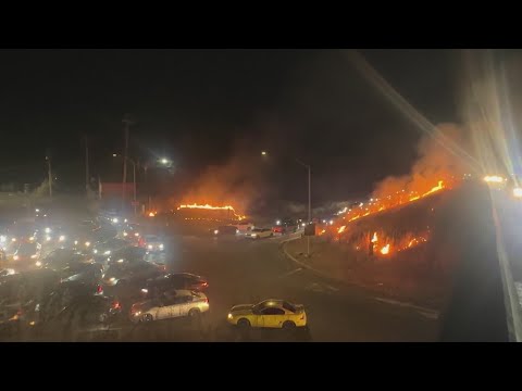 Brush fire starts during illegal sideshow in Rodeo