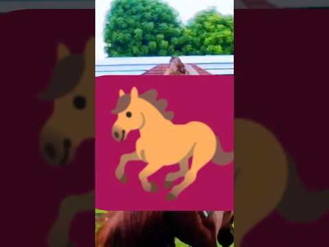 Horse ๐ด THARPARKAR DESERT THAR