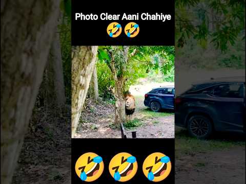 MAINU ISHQ DA LAGYA ROG #song #shortsvideo #music #love #youtuber #shorts #youtubeshorts #youtubeori