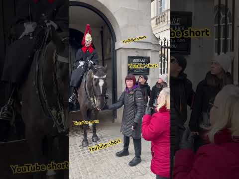 “My Horse, My Rules: King's Guard Allows Her to Touch the Horse!" Short
