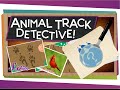 Identifying Animal Tracks and Signs