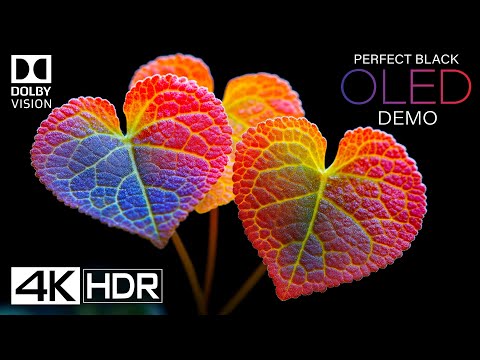 TEST OLED DEMO 4K HDR 120fps Dolby Vision | 4K Video Ultra HD (Perfect Black)