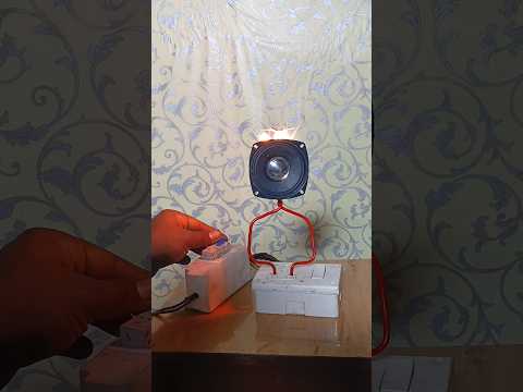 Speaker vs 220v Electricityexperiment #electrical #experiment#scincare #ideas #crazyideascrazy #vlog