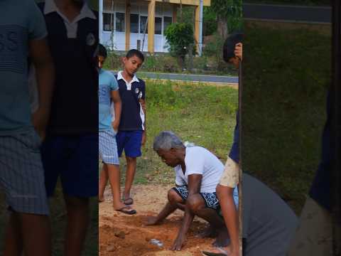 How to make cricket stumps holder 😍🥰 #shorts #cricket #how #foryou