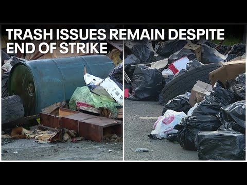 Illegal trash dumping overwhelming neighborhood despite end of strike