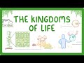 Exploring the Kingdoms of Life: Animals, Plants, Fungi, and More