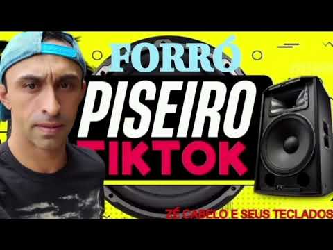 Forrozinho Hits as melhores do Tik Tok melhores do YouTube Forró e piseiro Zé Cabelo e Seus Teclados