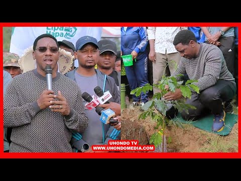 MAKONDA ATUMIA BIRTHDAY YAKE KUPANDA MITI, ATOA ONYO KALI "HUTAKIWI KUKATA MITI ARUSHA"