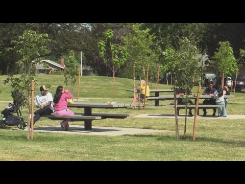 YouTube video thumbnail: Portland Parks Funding Hangs in Balance With Levy Vote