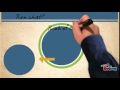 Exploring the Author's Perspective in Animated Presentations