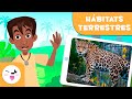 Explorando los Hábitats Terrestres