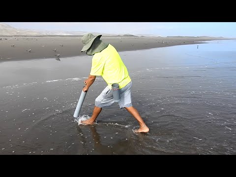 Тécnicas de extracción de carnada en la Playa hasta la pesca de grandes ejemplares