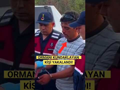 ORMANLARI KUNDAKLAYAN BİRİSİ DAHA YAKALANDI. #ormanyangını #shorts #keşfet