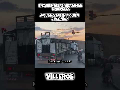 VOTANTES DEL KIRCHNERISMO APLICANDO JUSTICIA SOCIAL #VIRAL #SHORTS #MILEI #LLA #VLLC