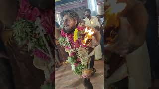 ஸ்ரீ சூரியகாந்தி அம்மன் கோயில் கொடை விழா 2025